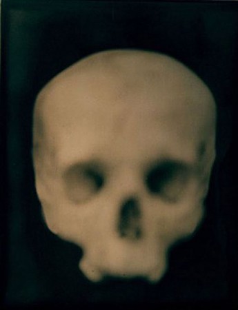 Adam Fuss, Sans titre, 2002