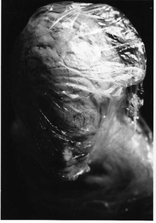 Sculpture d'Alain-Jacques Lévrier-Mussat, photographie de l'auteur