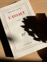 Assaut Gaulène 2.JPG