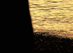 3895470784.jpg