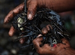 Rodrigo Abd:Associated Press.jpg