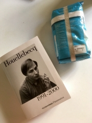 Houellebecq.JPG