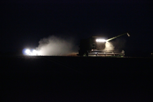 travaux-agricoles-nocturnes_19688698654_o.jpg