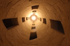 53966413964_40329e787c_o.jpg