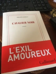 Cavalier noir3.JPG