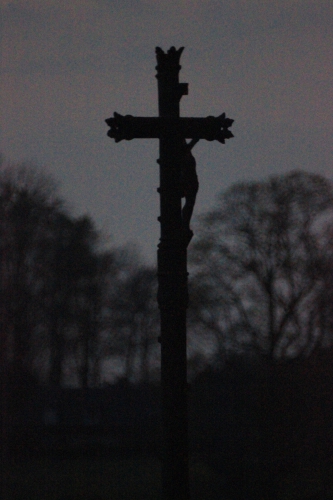 IMG_7379.jpg