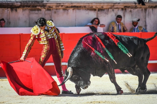 63776a36a7921_corrida.jpg