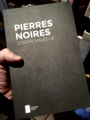 Pierres noires.JPG