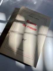 Roman du roman.jpg