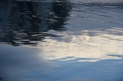 2620046337.jpg
